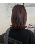 ボルドーレッドのbob