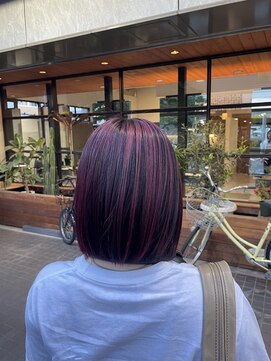 ビルズノア バイ ヤスオカ(BUILDS NOAH BY YASUOKA) Redアンブレラカラー【あさや】