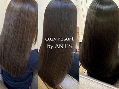 コージー リゾート バイ アンツ 茅ヶ崎駅前店(cozy resort by ANT'S)の写真