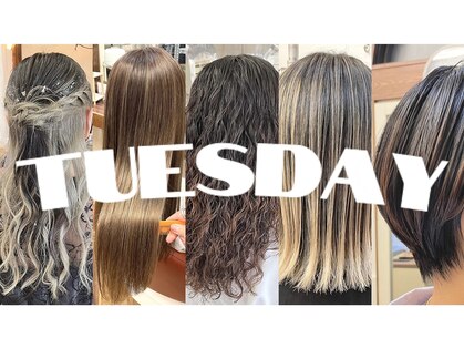 チューズデー(TUESDAY)の写真