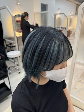 シダ(sida) 【sida 保住】アンブレラスカイブルー