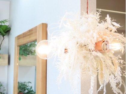 ハル(haru)の写真