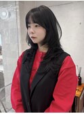 韓国ハッシュレイヤー　【ayami】
