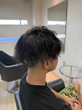 エース(ACE) ツイスパ