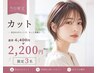 【当日限定♪】 カット ¥4400 → ¥2200