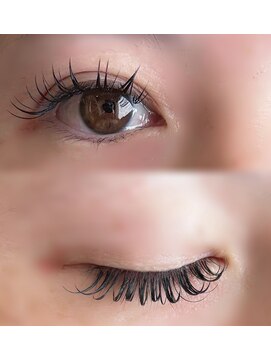 バハリ(Bahari) バインドロック付け放題