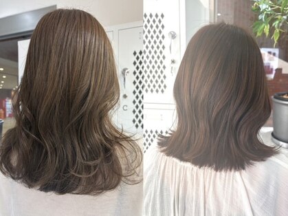 エルピー(LP)の写真