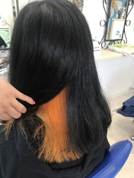アクアリッシュ ヘアー(Aqualish Hair) インナーダブルカラー