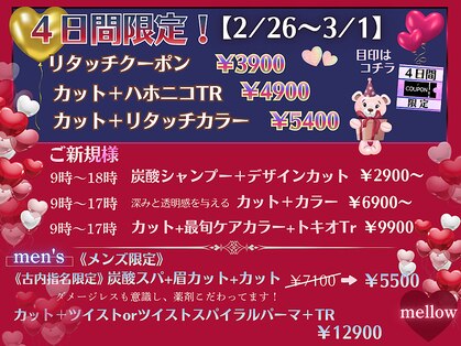 メロウ(Mellow)の写真