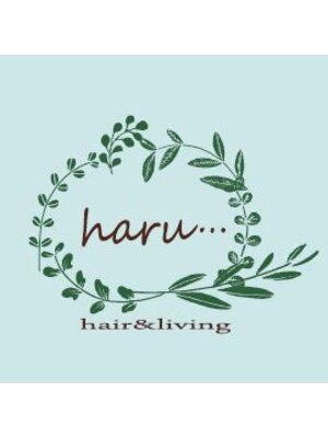 ハル(haru)