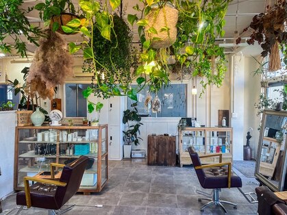 タオ(tao)の写真