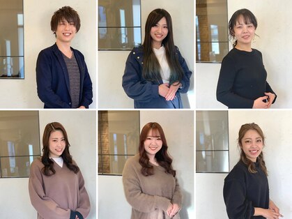 モプレア(MOPLEA)の写真