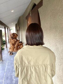 穀雨(Kokuu) 大人シアーベージュミニウルフボブミディアムレイヤー