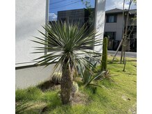 イルマーレ メンズ ヘア デザイン(il mare men's hair design)