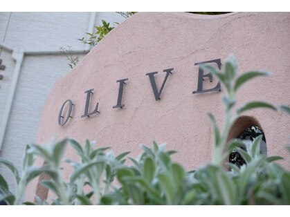 オリーブ(OLIVE)の写真