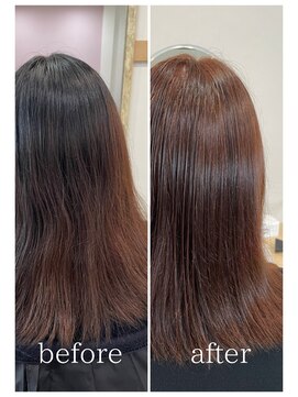 エル(Ele’) ピンクベージュ+艶トリートメント