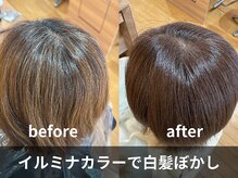 1. イルミナカラーで白髪をぼかす