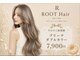 ルートヘアー(Root Hair)の写真