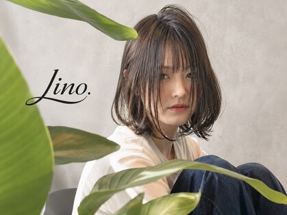 リノ(Lino.)の写真