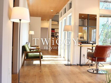 ツイギー 宮西店(TWiGGY)の写真