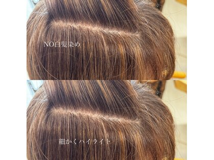 ビセラ(Vicella)の写真