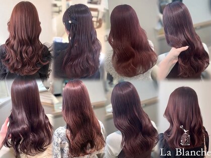 ラ ブランシュ 大宮(La Blanche)の写真