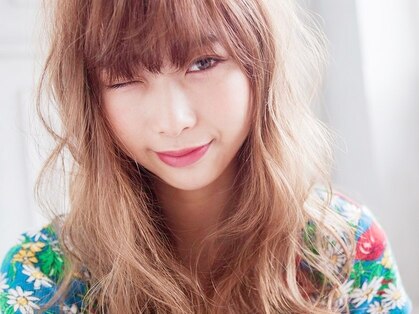 ココア(cocoa)の写真