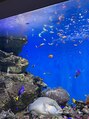 クアトロ 小山店(QUATRO) 仙台うみの杜水族館のお魚たちです！！