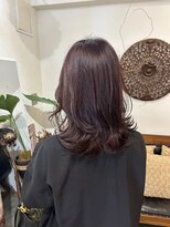 リゴッツ ドゥア プトゥリ(Regottz dua putri)&nbsp;秋のボルドーカラー10.22暗めカラー