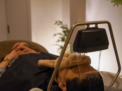 ことりの村の写真