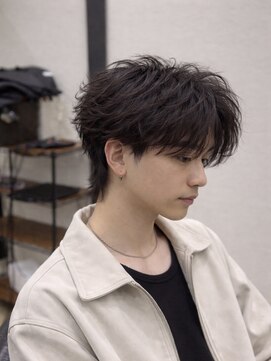 ノイル(Noil) ∞フェザー