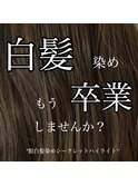 脱白髪染め/シークレット　ハイライト