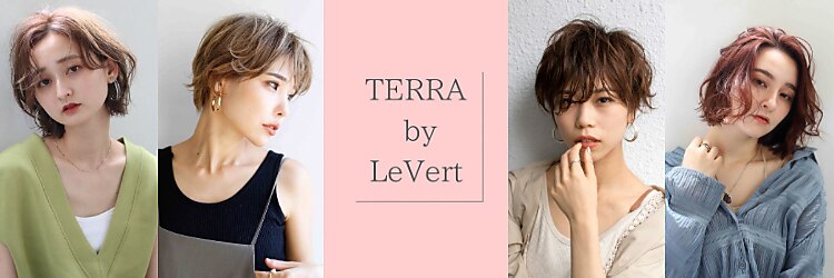 テラバイルヴェール 各務原(TERRA by LeVert)のサロンヘッダー