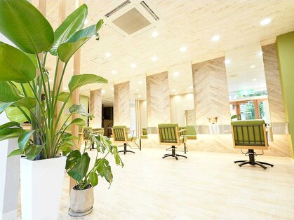 ジプソ(Gypso Hair salon)の写真