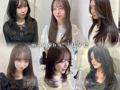 マーシュ ルーヴェ(marshu Luve)の写真