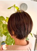 ミニウルフ美フォルムショート