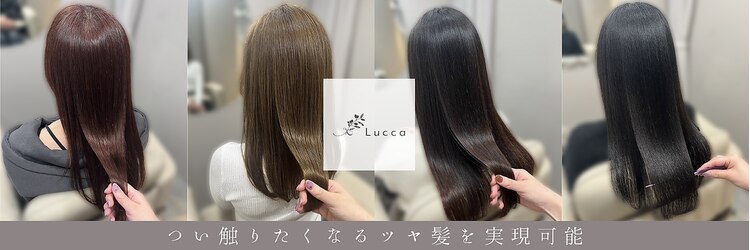 ルッカ(Lucca)のサロンヘッダー