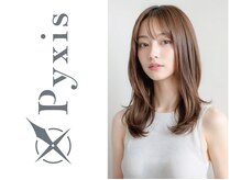 ピュクシス(pyxis)