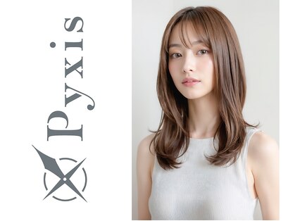 ピュクシス(pyxis)の写真