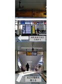 髪質改善 Ace+までの行き方