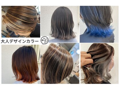 パラゴンヘア(Paragon hair)の写真