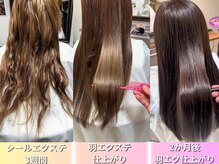 羽エクステ専門店 THE LAYER 梅田【ザレイヤー】の雰囲気（全て最高ランクの毛髪を使用し、カラーも繰り返し施術出来ます☆）