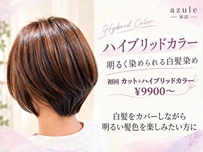 アズール 草加(azule)の写真