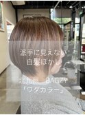白髪ぼかし「ワダカラー」