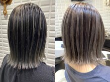 ルピナス(Lupinus)