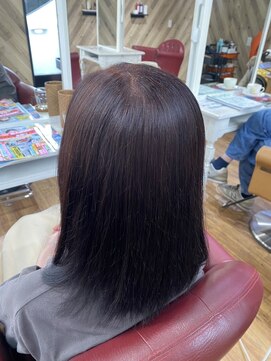 ルネッサンスヘアー ラファエロ(RAFFAELLO) 艶々グレーカラー