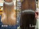 リアン(Lien)の写真