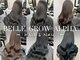 ベルグローアルファ(BELLE GROW ALPHA)の写真