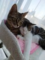 ヴァンカウンシル いわき店(VAN COUNCIL)&nbsp;はる＆うみ◆今年で3才可愛いです(*^^*)