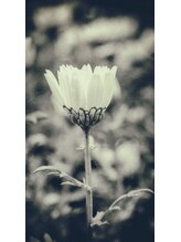 ジェノ(jjeno)&nbsp;kana ヘッドスパ